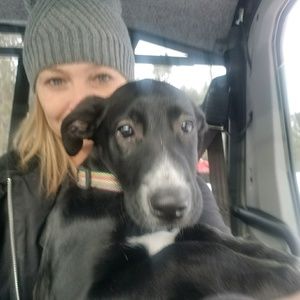 Meet your Posher, Lisa